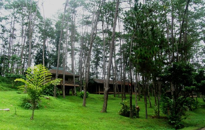 Kaamulan Park