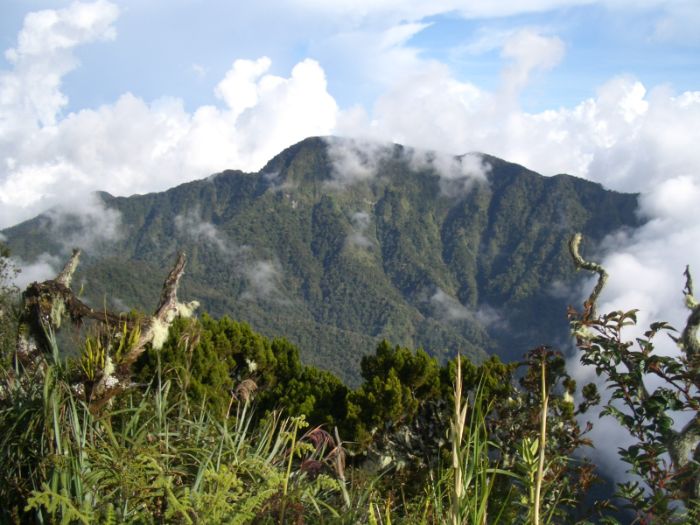 Mount Dulang-Dulang