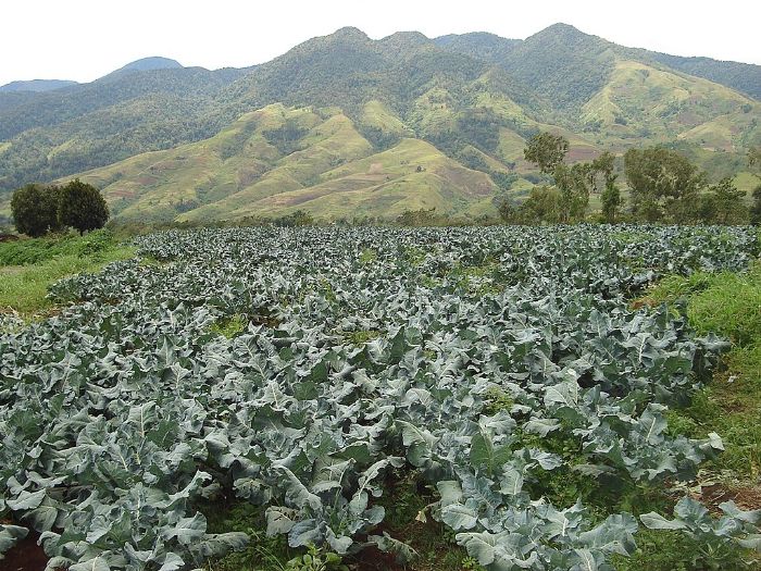 Mount Dulang-Dulang
