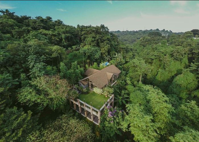 Antipolo Beehouse