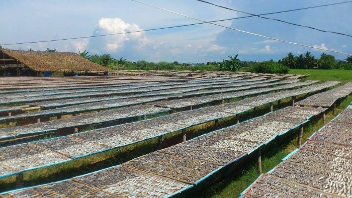Banica Dried Fish Center