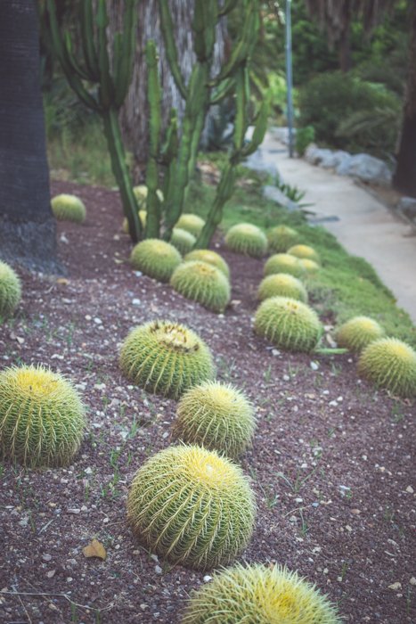 Mossen Costa i Llobera Gardens - best locations for Barcelona photos
