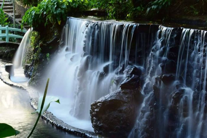 Bato Springs