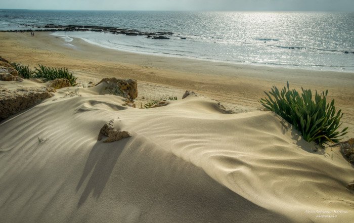 Sand dunes and shore on a clear day 