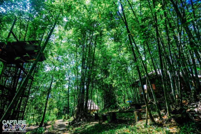 Capiz Ecology Park and Cultural Center
