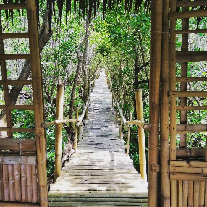 Culajao Mangrove Eco Park