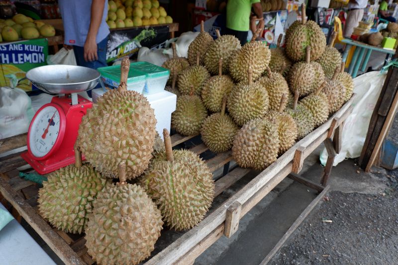 Davao Durian and Fruit Stands