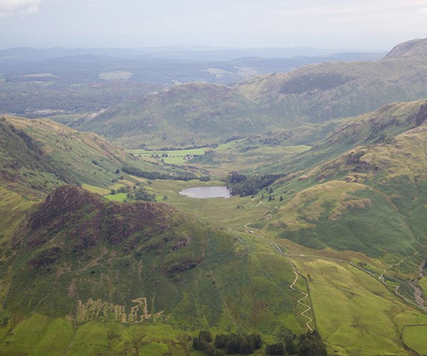 Wainwright bagging