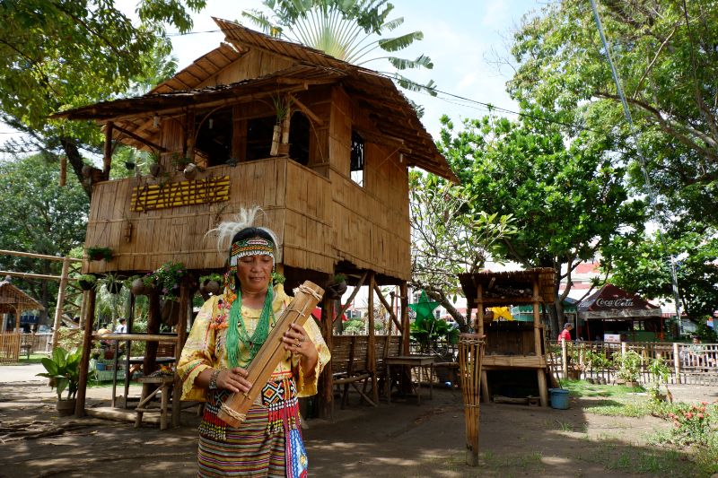 Kadayawan Village