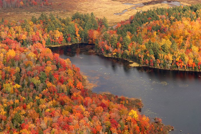 travel photography image of an autumn landscape by water, framed by orange and yellow trees