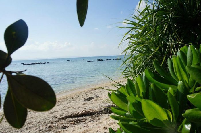 Minasawa Island