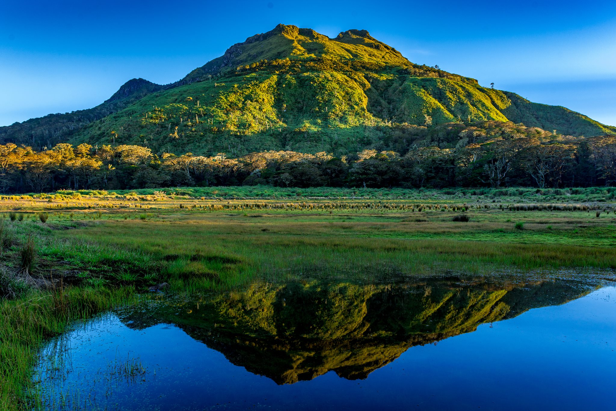 Mount Apo
