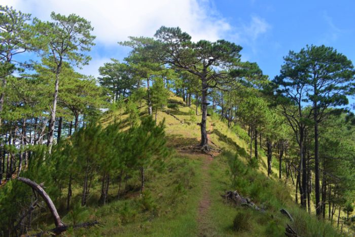 Mt. Ugo