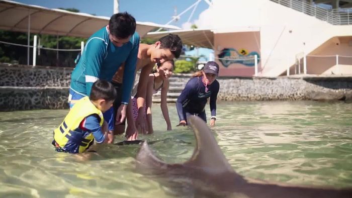 Ocean Adventure Subic Bay
