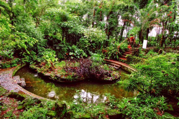 PACEM Eco Park