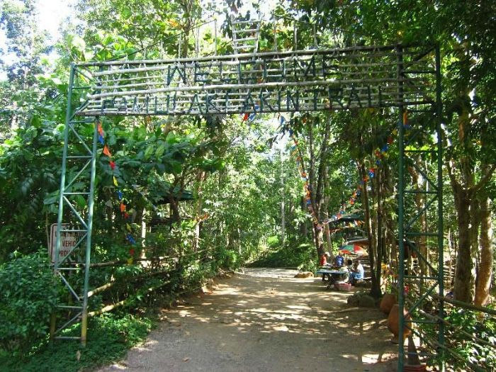 Pamulaklakin Forest Trail