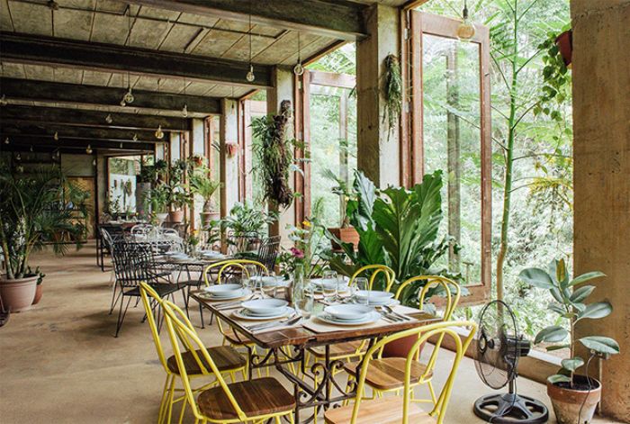 Burrow Cafe
