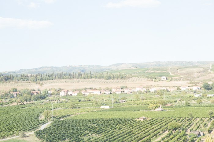 A very over exposed image of the Italian countryside as seen from the train.