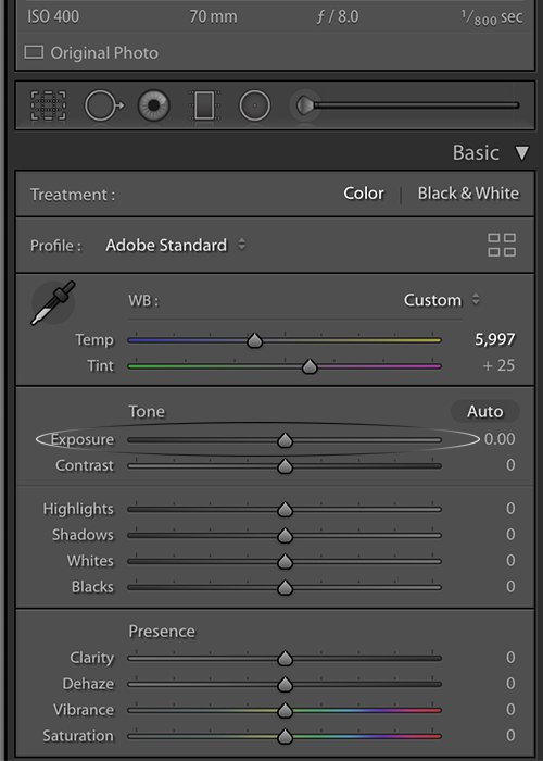 Adjusting the exposure slider in the Basic panel of the Develop module