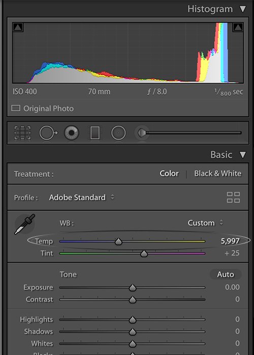 Adjusting temperature in histogram