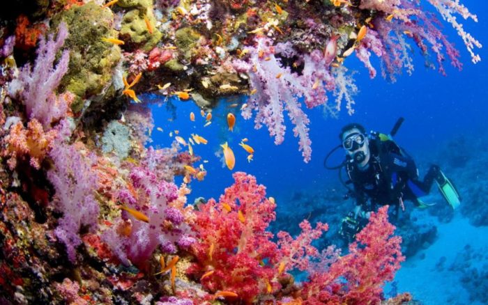 Tubbataha Reef