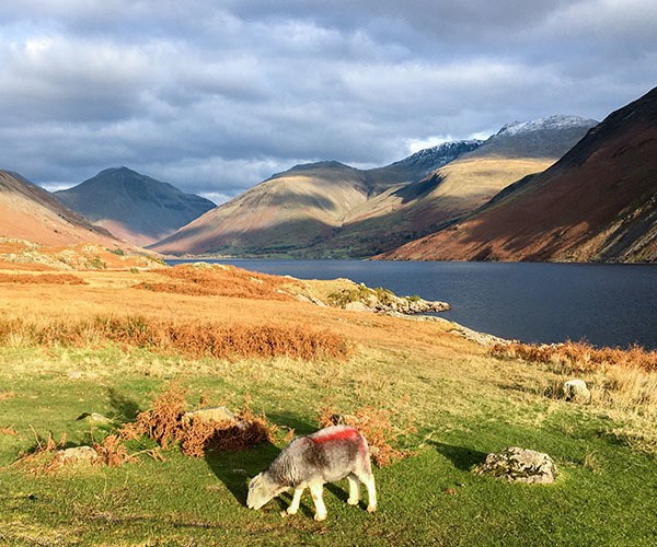 Wastwater