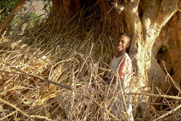Portrait of a young farmer standing in front of a tree - find a fixer for better travel photography