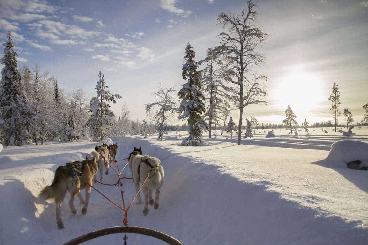 finland-2215323_1280 Best family vacations for Christmas