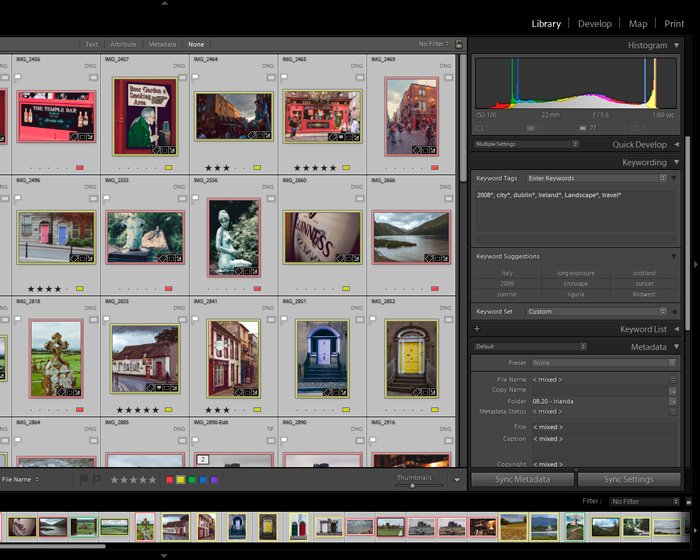Screenshot of Lightroom list of keywords