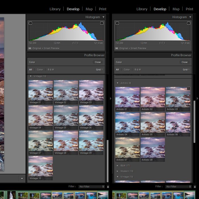 Screenshot of new profiles in Lightroom