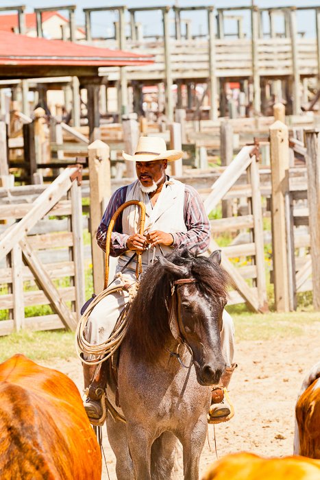 man in a cowboy hat riding a horse